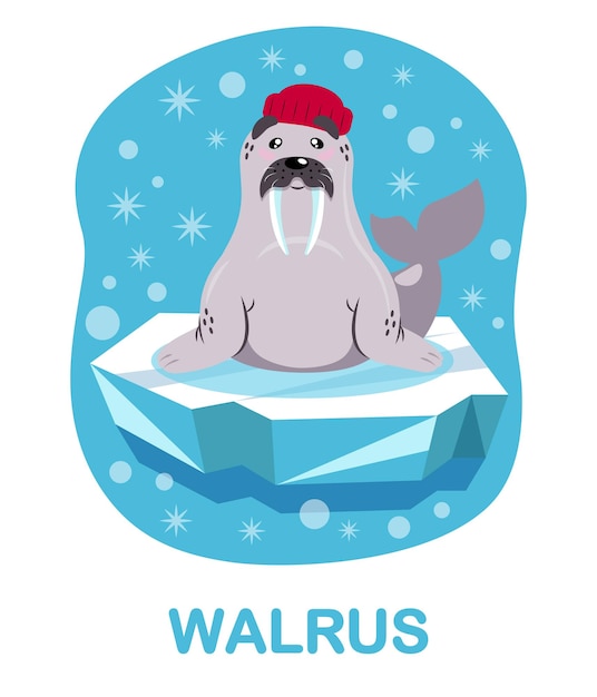 Vector cartoon walrus ijsschots blauwe achtergrond kaarten voor het onderwijzen van kinderen arctic