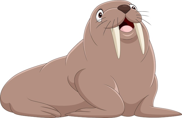 Cartoon walrus isolated