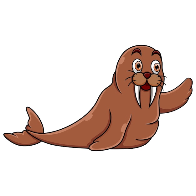 Cartoon Walrus on white background