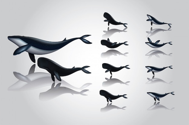 Cartoon whale jurken zwemmen in verschillende stijlen.