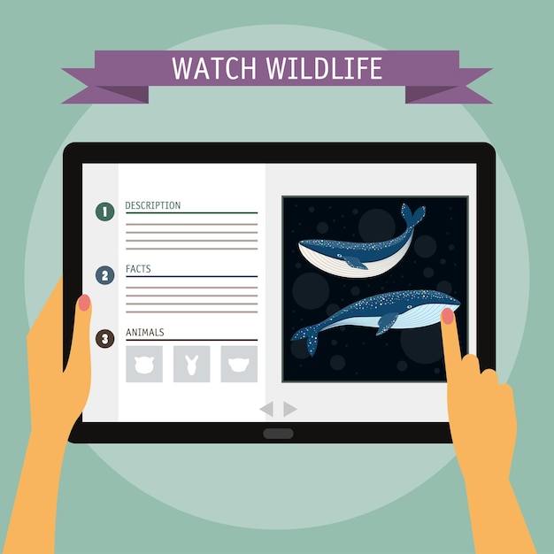 漫画のクジラと野生生物に関するウェブサイト。デジタルタブレット。