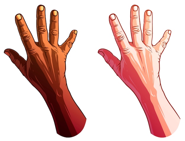 Vector cartoon white and black human hands  set