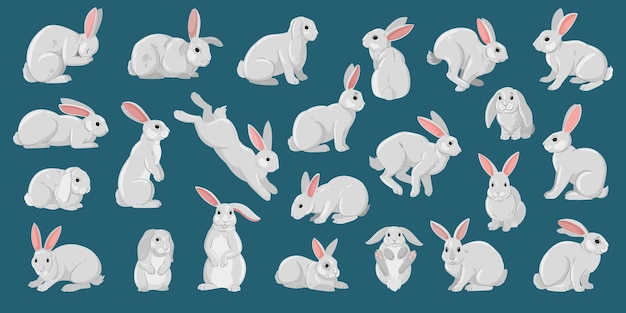 Cartoon white rabbits Easter cute bunny funny domestic white bunnies flat vector illustration set Easter fluffy rabbits collection