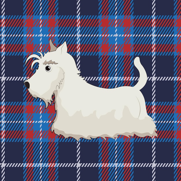 Cartoon white scottish terrier on tartan background. White scottish terrier in cartoon style.