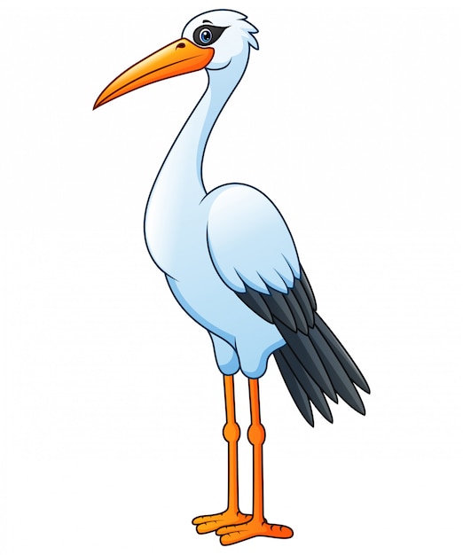 Cartoon white stork isolated 