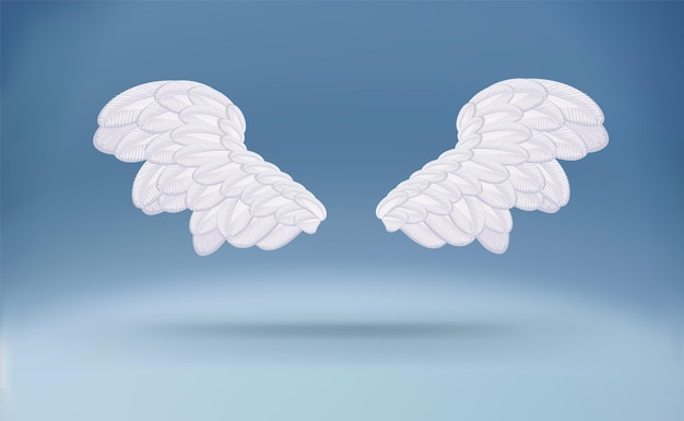 Cartoon white wings isolated white angel wings