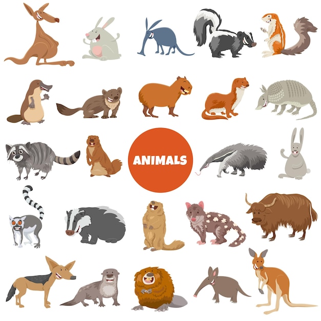 Cartoon wild animal characters big set