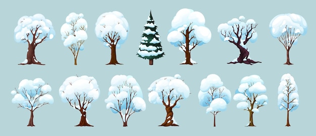 Vector cartoon winter trees forest and garden plants set