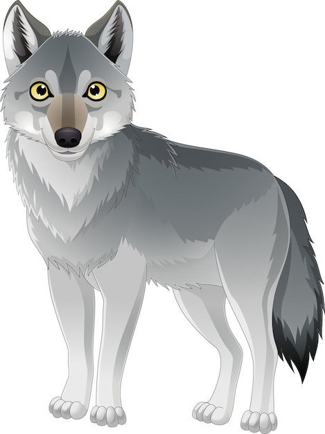 Vector cartoon wolf op witte achtergrond