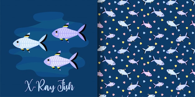 Cartoon x-ray fish seamless pattern set