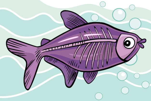 Cartoon x-ray fish