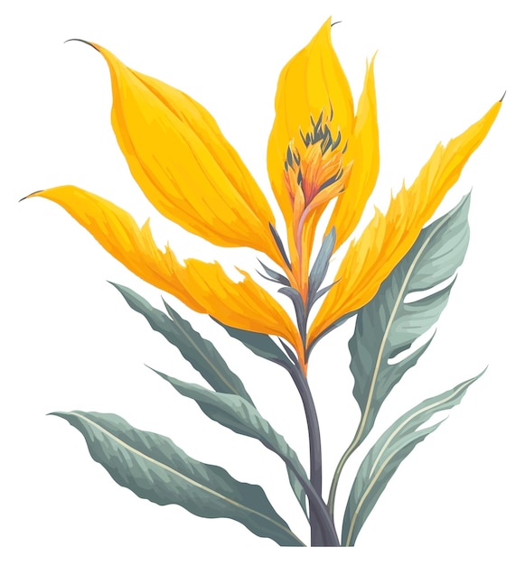 Cartoon yellow Strelitzia Flower clip art vector illustration