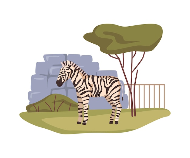 Vector cartoon zebra in menagerie afrikaans natuurreservaat