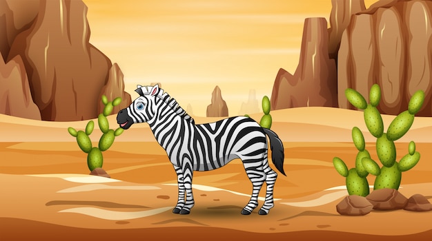 Cartoon a zebra living in the desert