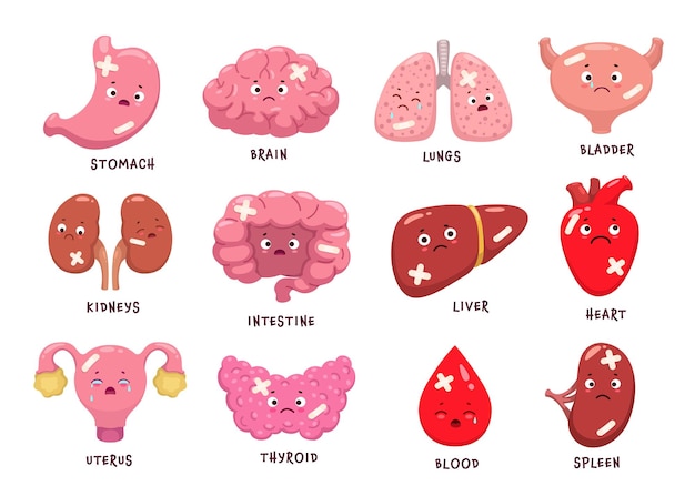Cartoon zieke lichaam orgaan personages Gewonde en ongezonde orgaan personages van vector hersenen hart bloed en lever nieren maag milt en blaas darm baarmoeder longen en schildklier