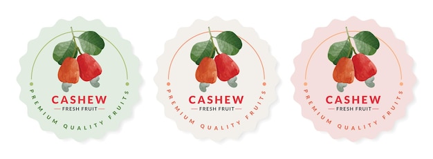 Cashew Fruit verpakking ontwerpsjablonen, aquarel stijl vectorillustratie.