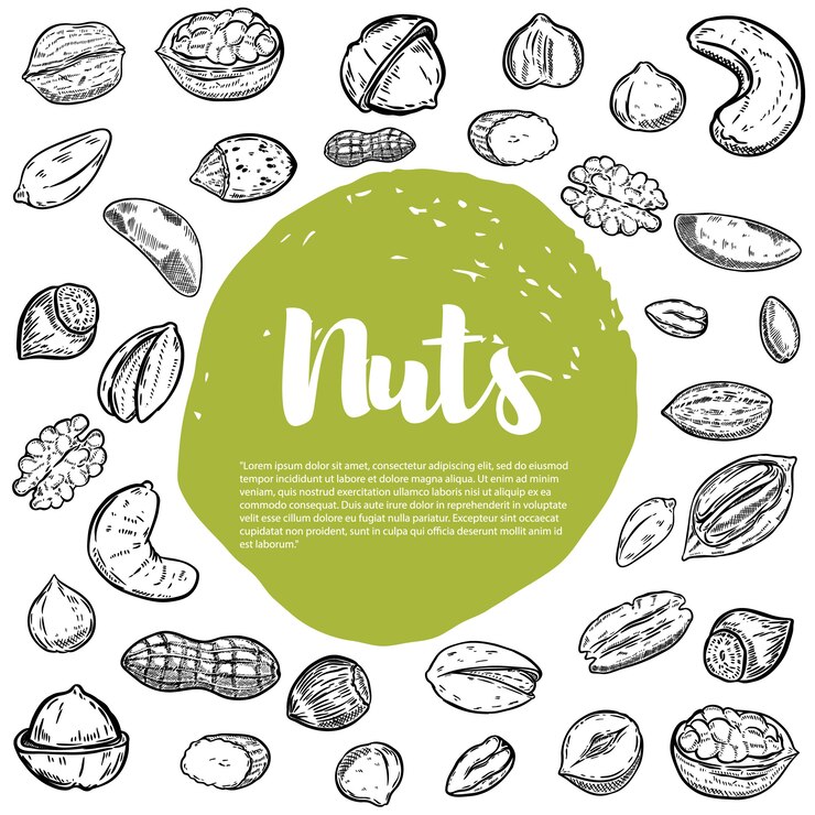 Cashew, hazelnoot, walnoot, pistache, pecannoten. Noten schetsen. elementen voor menu, flyer. illustratie