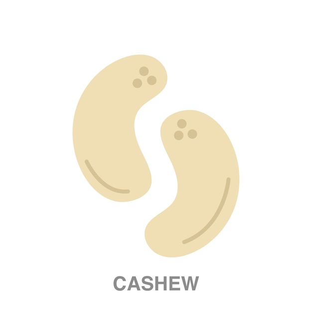 Cashew illustration on transparent background