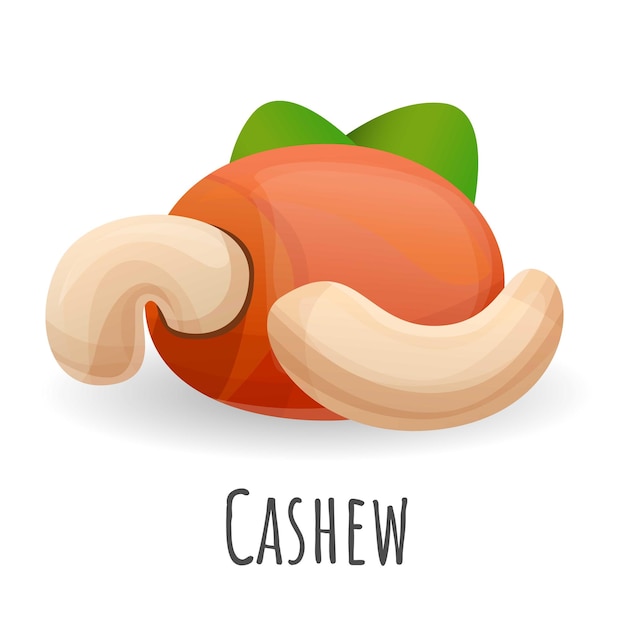 Cashew nut icon Cartoon of cashew nut vector icon for web design isolated on white background