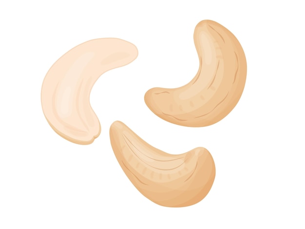 Cashew nuts Illustration of delicious healthy vegan snack