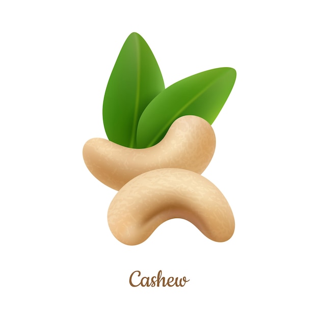 Cashew nuts organic and natural ingredient
