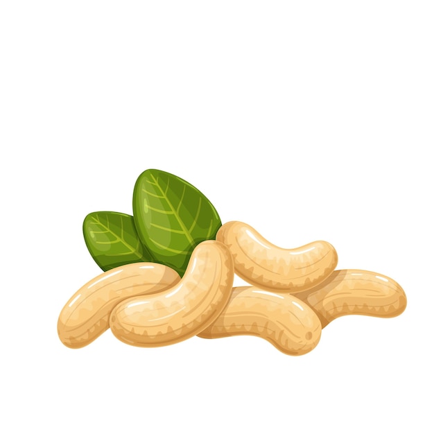 Cashew nuts with leaves. 