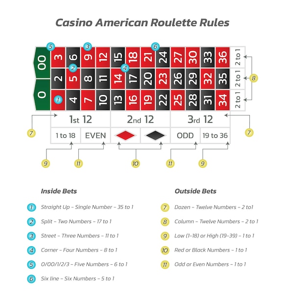 Regole della roulette americana del casinò infografica di gioco e pagamento del gioco illustrazione vettoriale