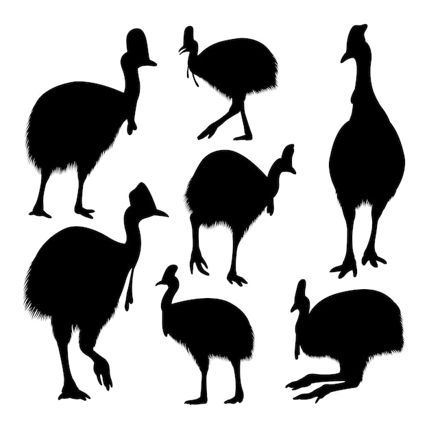 Vector cassowary bird silhouettes