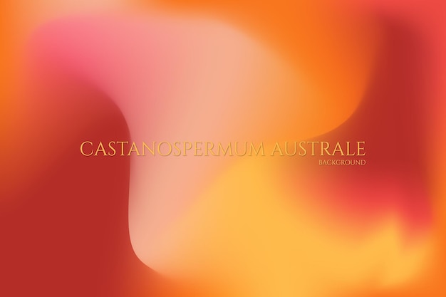 Castanospermum australe achtergrond textura granulada degradado gradiente