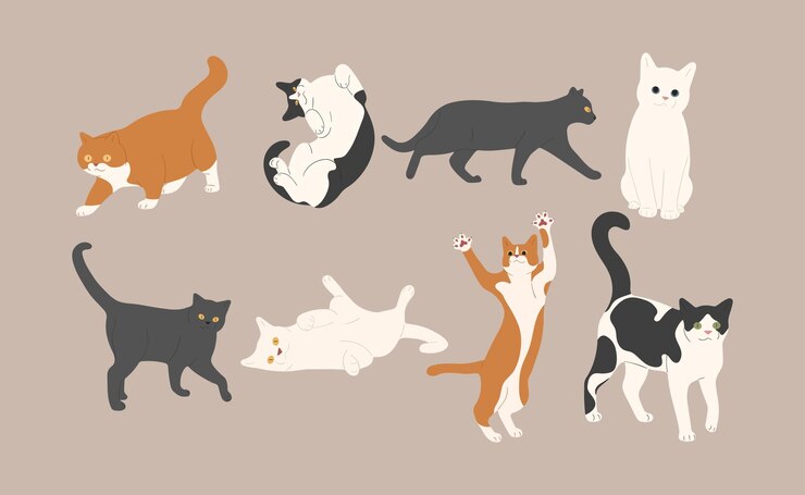 Vector 고양이 15