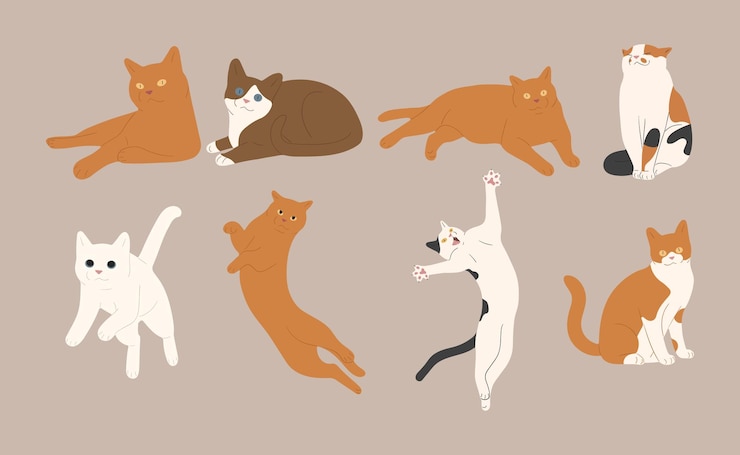 Vector 고양이 4