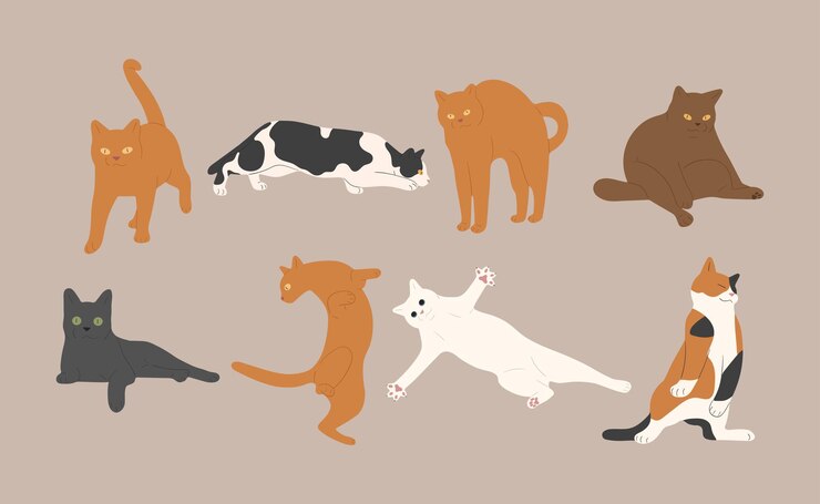 Vector 고양이 8