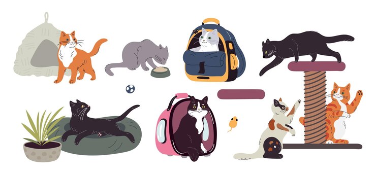 Vector cat accessories domestic animals care veterinary elements sun beds for kittens feline carriers and scratching posts happy pets cute kitty in bag cozy pillows garish vector set