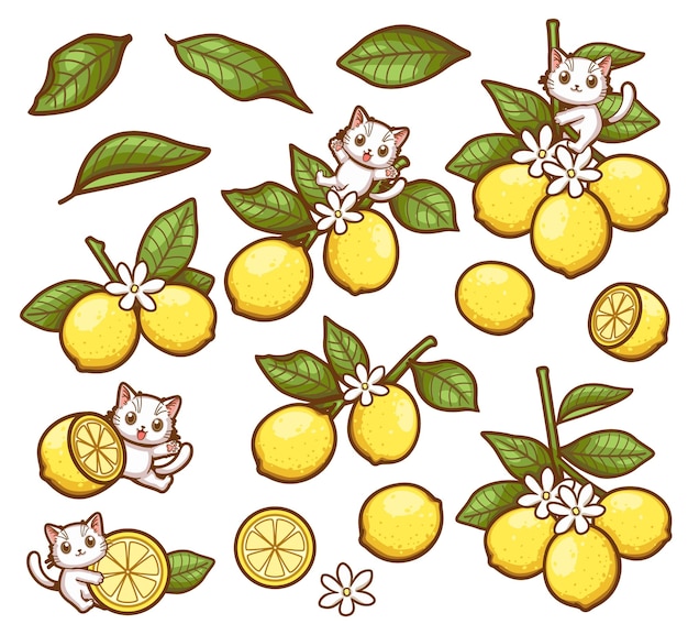 猫とレモンの漫画