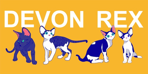 cat art devon rex vector illustration