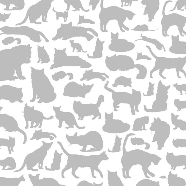 Vector cat a background