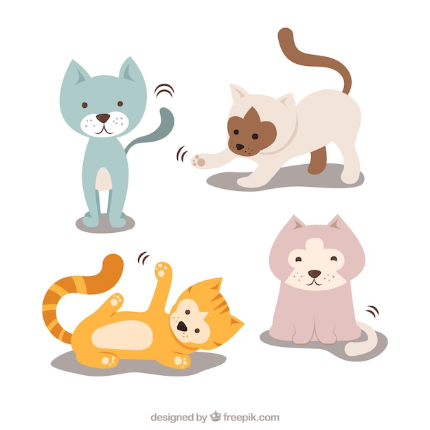 Cat breeds