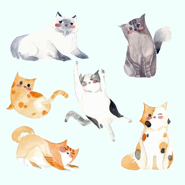 Vector cat character object with watercolor style