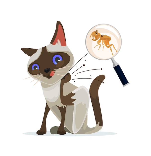 Cat character scratches fleas off. vector flat cartoon illustration