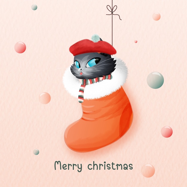 クリスマスの日にクリスマスブーツの猫。