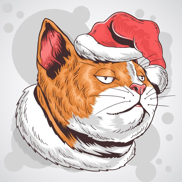 CAT CHRISTMAS SANTA CLAUS