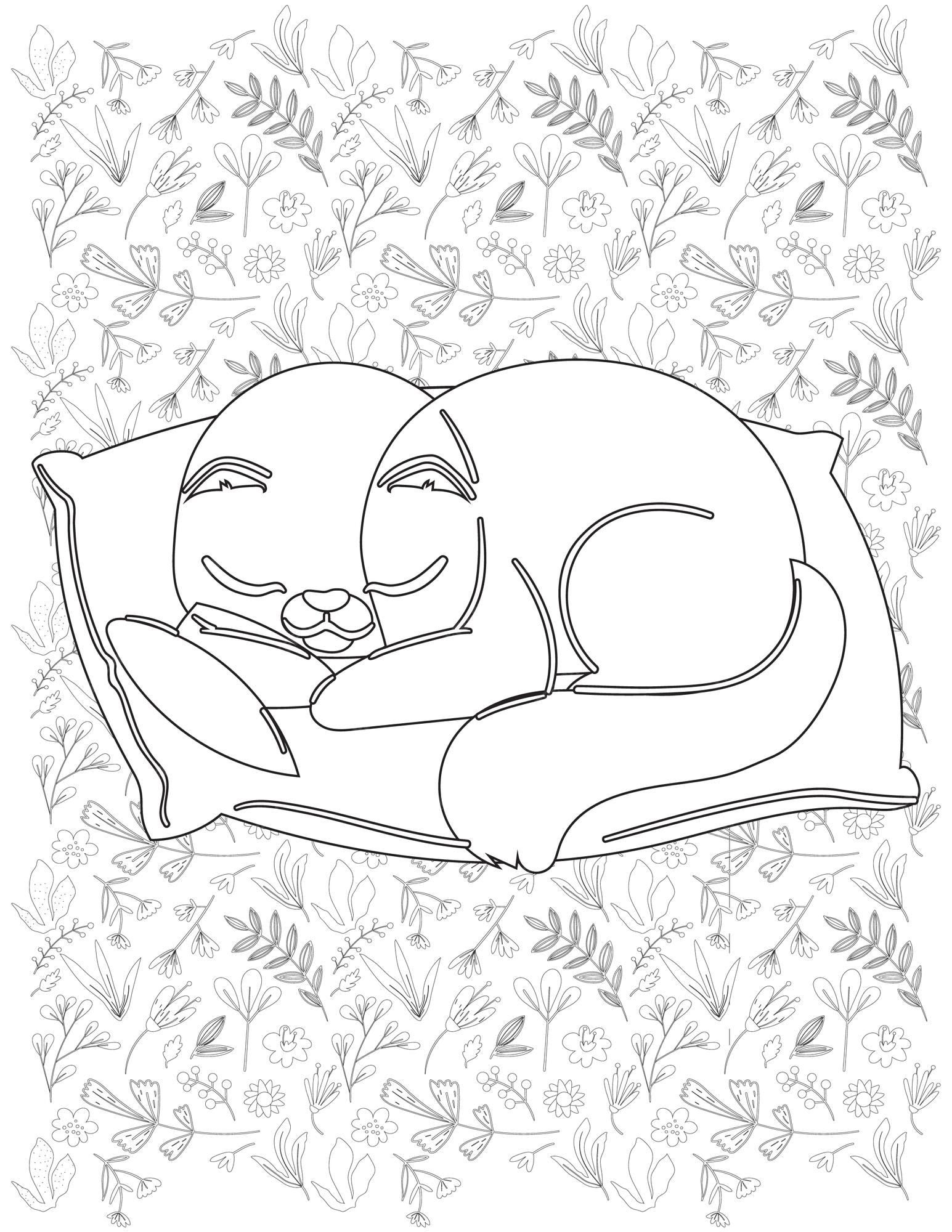 Premium Vector | Cat coloring page
