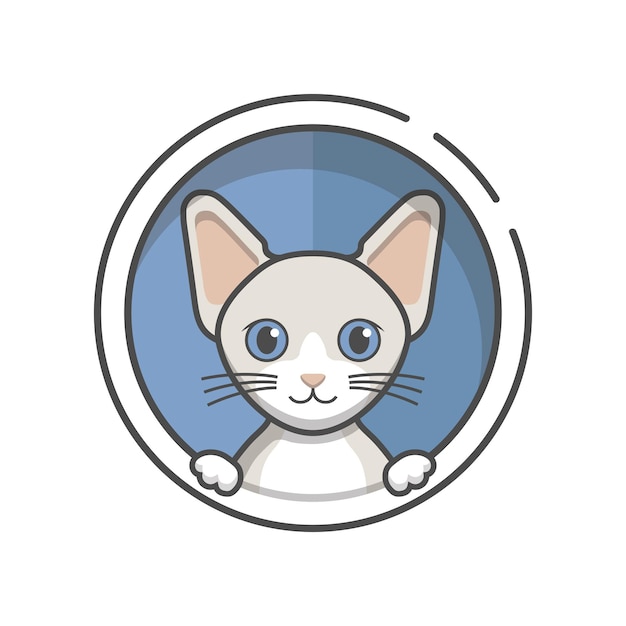 Vector cat cornish rex