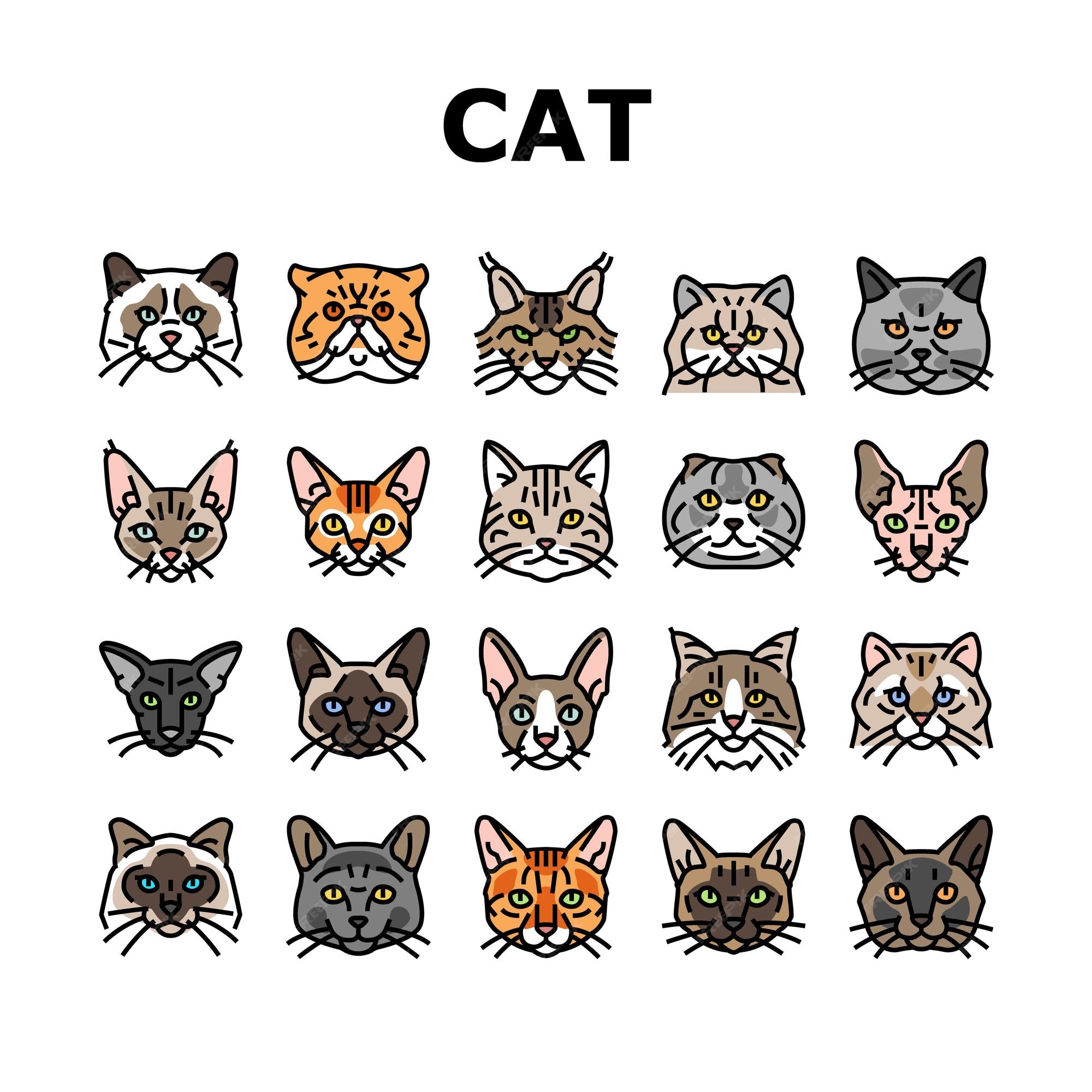 cat cute pet animal kitten funny icons set vector