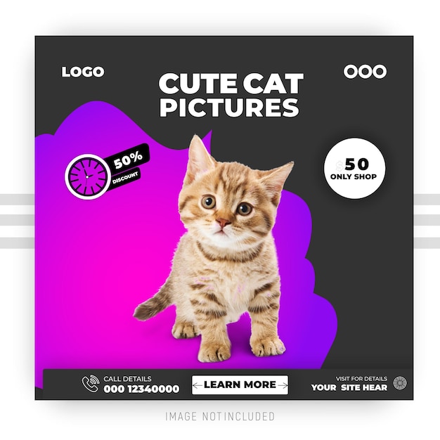 Cat Day Socials Media and business template
