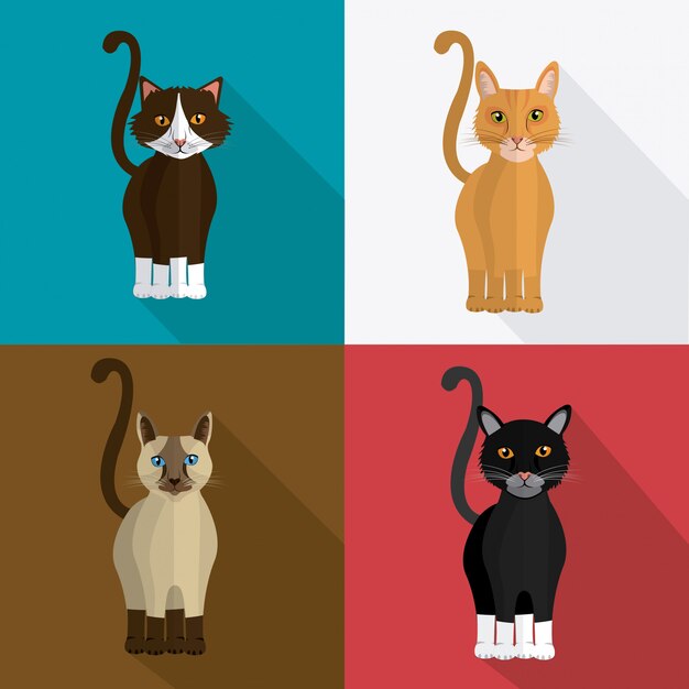 Vector cat design.