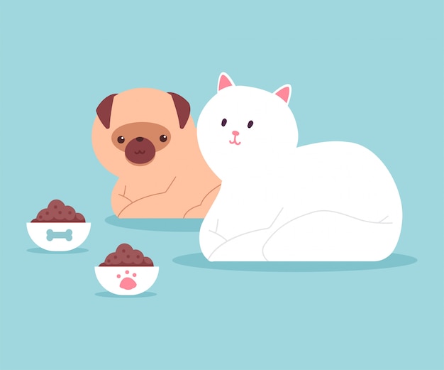 Cat and dog are sitting near the bowls of food.