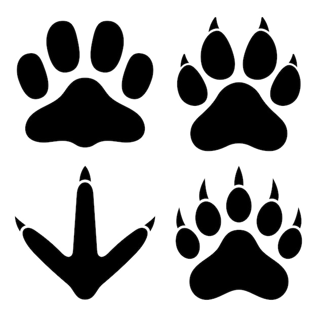 Vector cat dog bear and chicken paw prints