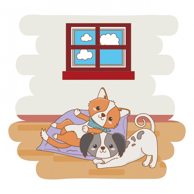 Cat and dog cartoon design