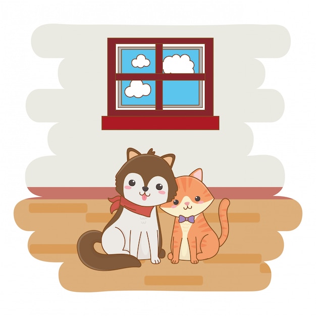 Кот и собака мультяшный дизайн